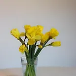 Theatre Attico Teatro Διαμέρισμα *