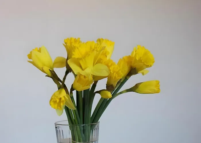 Theatre Attico Teatro Daire *